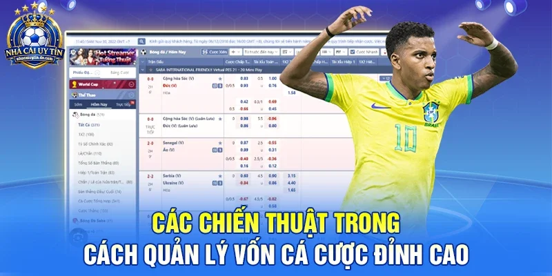 Các chiến thuật trong cách quản lý vốn cá cược đỉnh cao