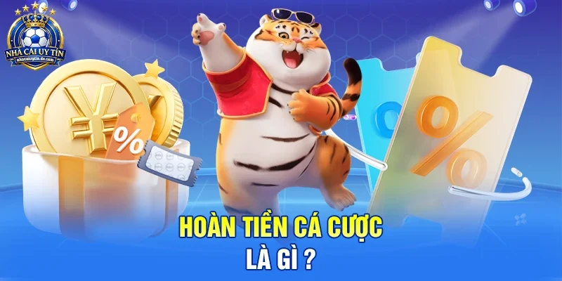 Hoàn tiền cá cược là gì ?