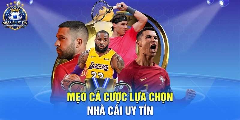Mẹo cá cược lựa chọn nhà cái uy tín